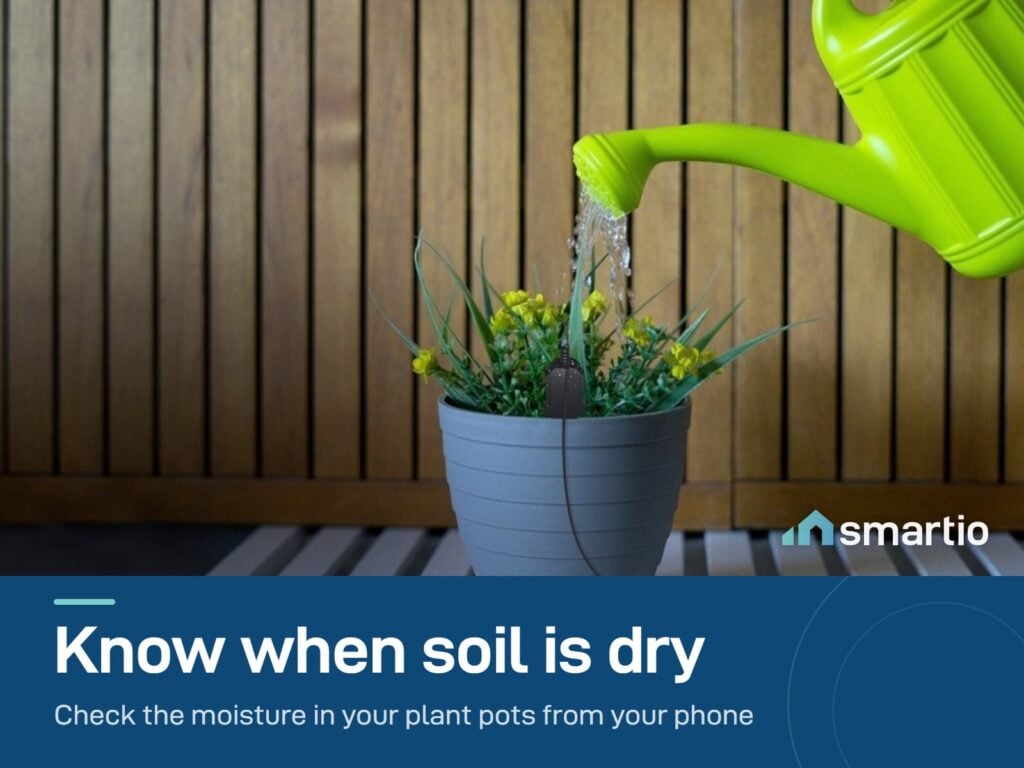 Sonoff MS01 soil moisture probe in a plant pot while it is watered. It plugs into a TH Elite or TH Origin