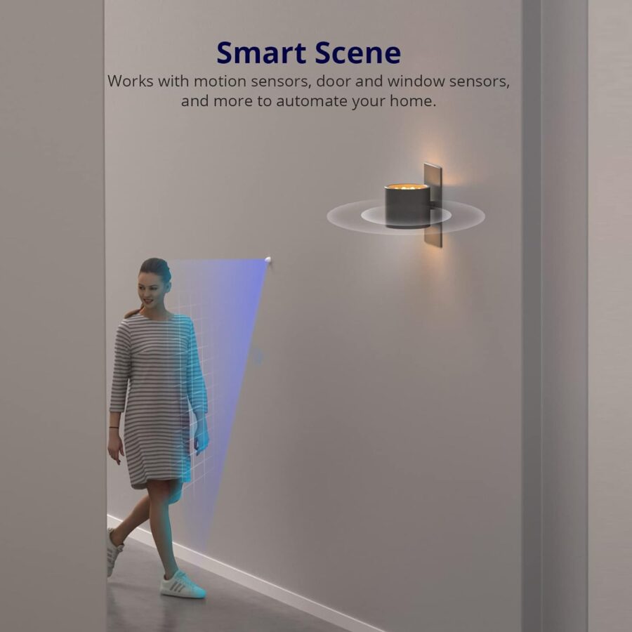 Sonoff MINIR4 Smart Switch