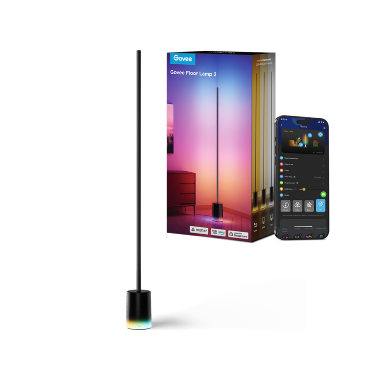 Govee Floor Lamp 2