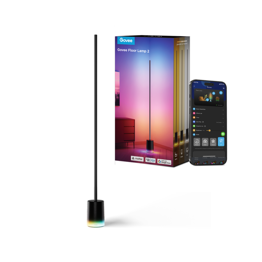 Govee Floor Lamp 2