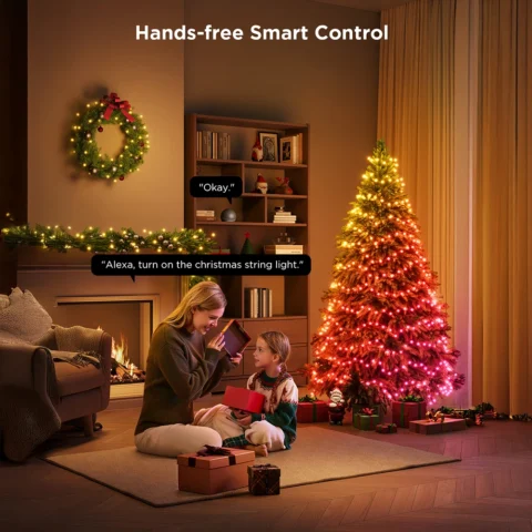 Govee Christmas String Lights 2S 20 meters