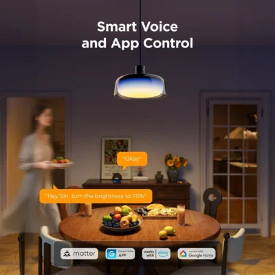 Govee Smart RGBIC Pendant Light view 6