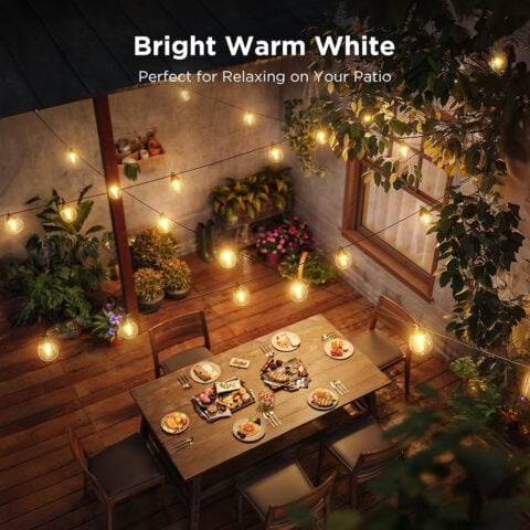 Govee Outdoor Clear Bulb String Lights