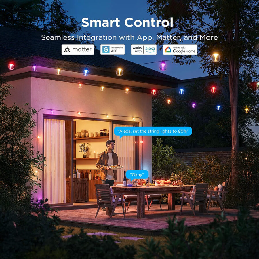 Govee Outdoor Clear Bulb String Lights