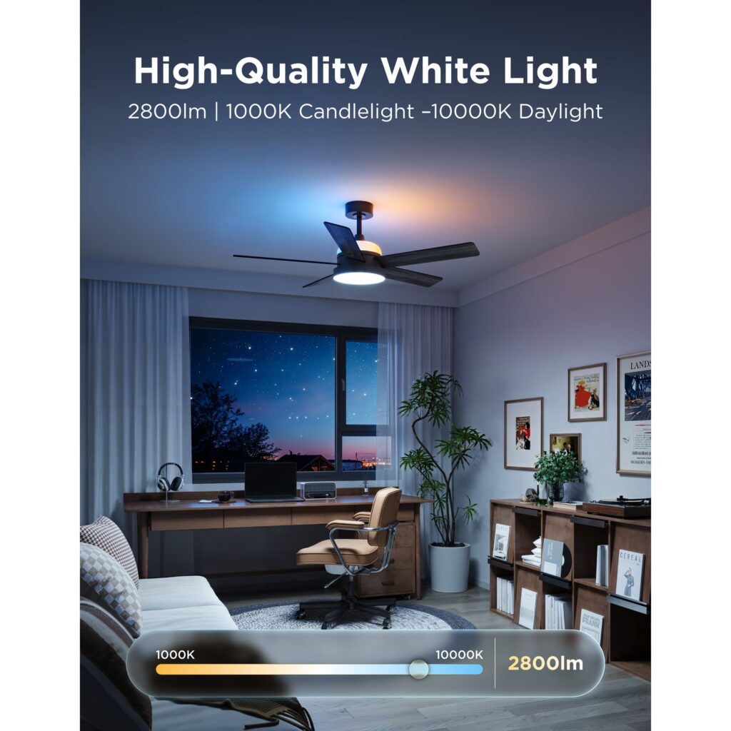 Dual Light Zones