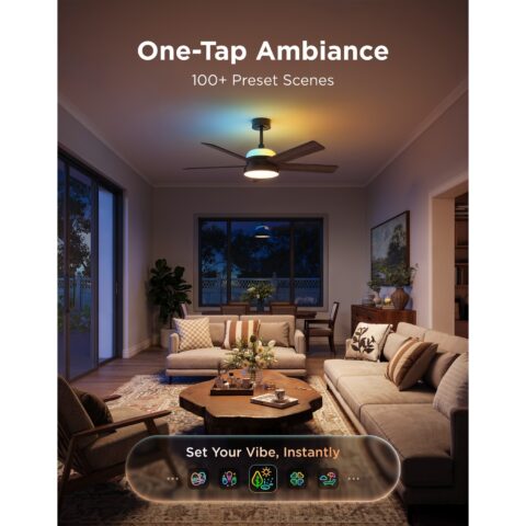 Govee Smart Ceiling Fan with Light