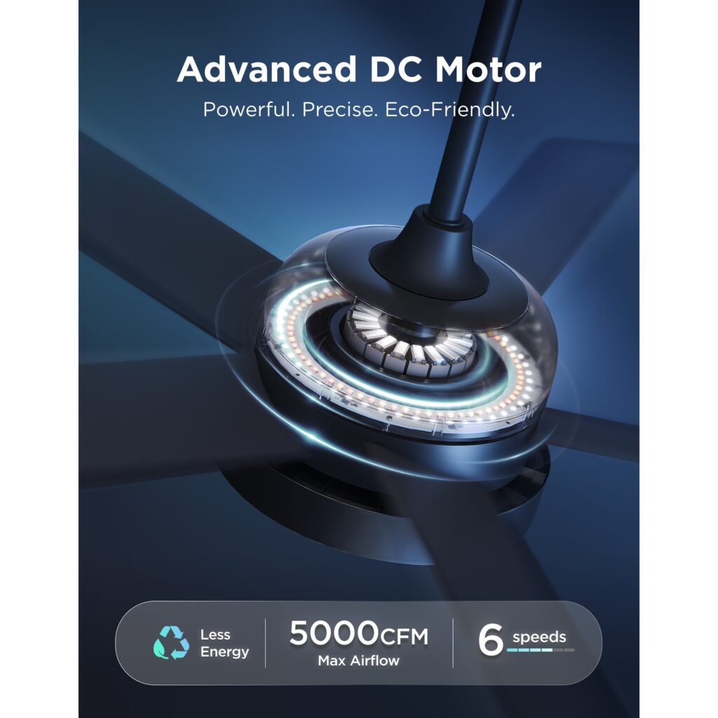 Reversible Motor