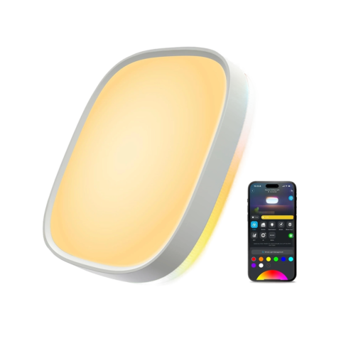 Govee 12inch Square Ceiling Light