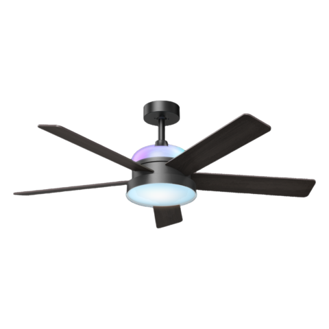 Govee Smart Ceiling Fan with Light