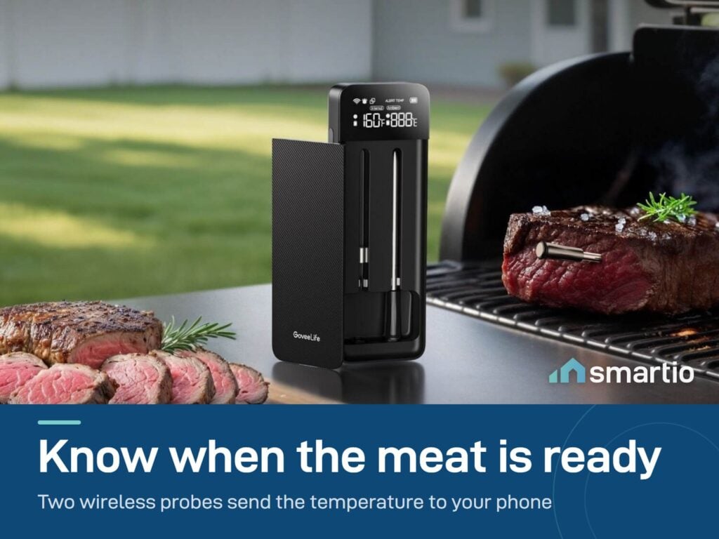 Govee wireless meat thermometer base with its two probes beside a grill and steaks