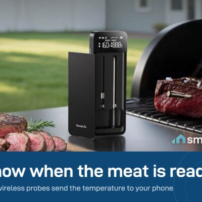 Govee wireless meat thermometer base with its two probes beside a grill and steaks