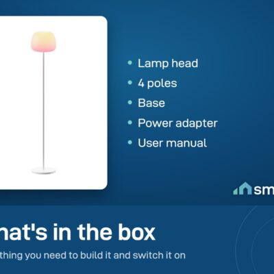 What's in the Govee floor lamp box: lamp head, 4 poles, base, power adapter and user manual