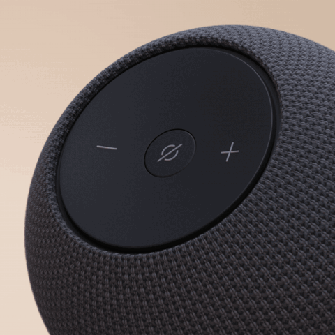 Amazon Echo Dot Max in Graphite, mic-off light ring
