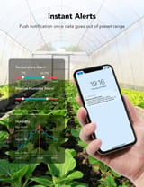 Govee H5075 app showing temperature and humidity history graph