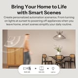 Sonoff MINI-2GS scene and schedule automation settings
