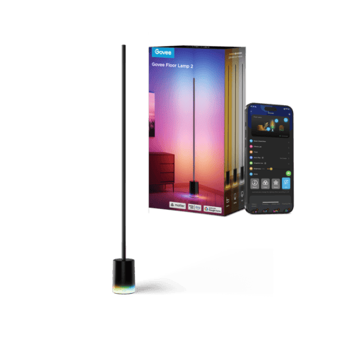 Govee Floor Lamp 2
