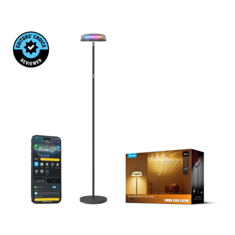 Govee Uplighter Floor Lamp