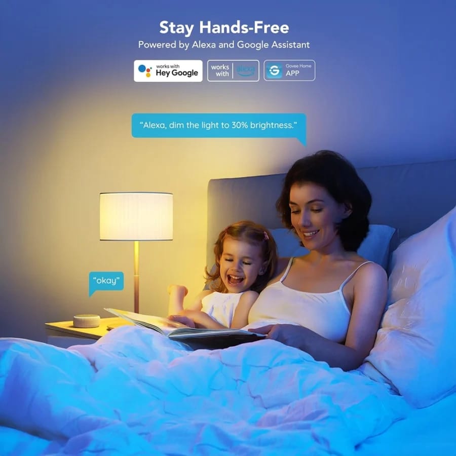 Govee H6004 Smart Bulb hands-free voice control with Alexa