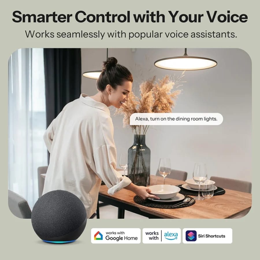 Sonoff MINI-2GS hands-free voice control with Alexa and Google